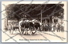 Vintage 1927 RPPC Crowd Enjoys Oxen Parading Hotel Central Real Photo Postcard 