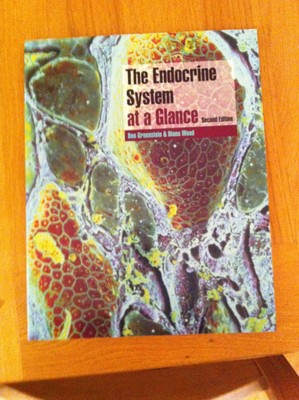The Endocrine System at a Glance
