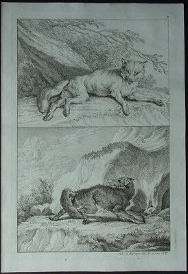 Johann Elias RIDINGER (1698-1767) Fuchs und Wolf - Bild 1 von 4