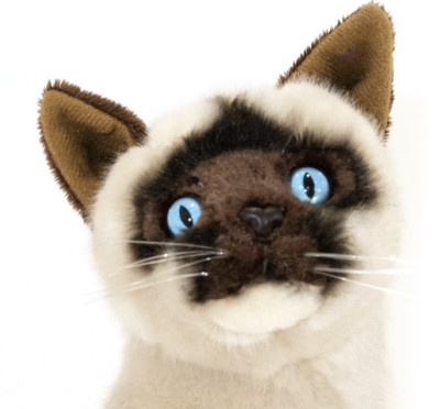 ~ ~Siamese CAT Noodles BOCCHETTA 26cm 12'' sitting plush soft toy BNWT~ ~