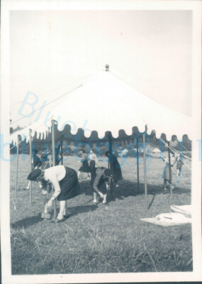1956 Girl Guides photo cycle trip to Holland putting up a marque tent