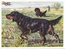 Original 1952 Dog Art Print