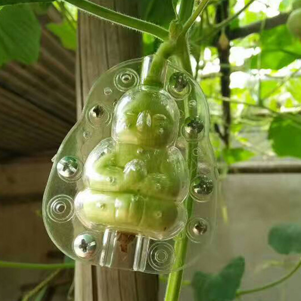 15 Pcs fruits melon molds Vegetable Shaping Molds Adorable Forming Mold