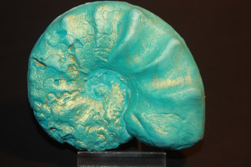 Ammonit Ceratites Replik Deko Fossilien Muschelkalk - Picture 2 of 3