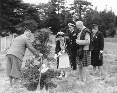 Queen Elizabeth Planting A Tree Grounds Brodick Castle Isle Arran Whi 1947 PHOTO