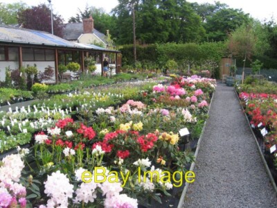 Photo 6x4 Dingle Garden centre Cloddiau  c2008
