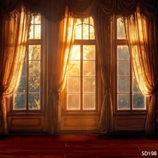 10'x10'CP Curtain Window View Scenic Microfiber Fabric background backdrop SD198