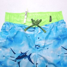 Gerry Athletic Outdoor Swimming Trunks Youth Boys Size Small S Blue Green