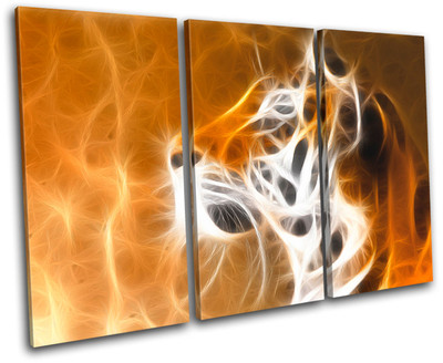 Tiger Animal Wildlife Big Cat Canvas Art Picture Print Decorative Photo