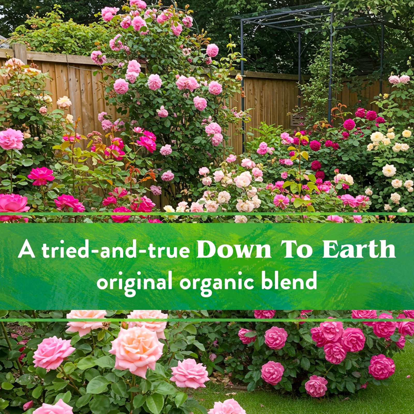 Down to Earth Rose & Flower Fertilizer - Thumbnail 5