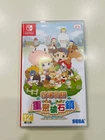 STORY OF SEASONS: Friends of Mineral Town Traditional Chinese - Nintendo Switch