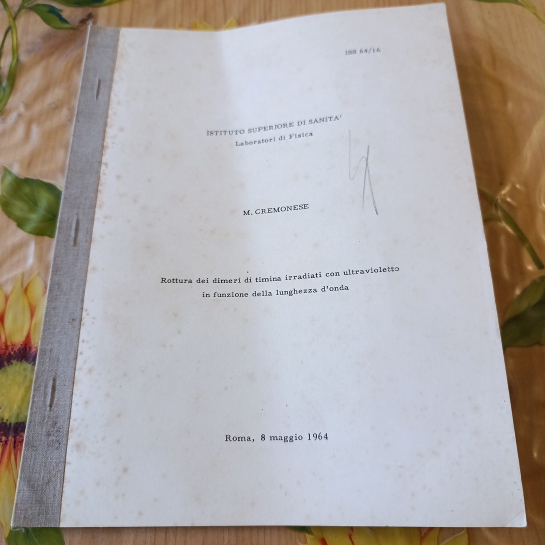 Ultraviolett bestrahlte Timina Dimere Bruch - Physikalische Laboratorien 1964
