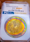 2013 BU American Silver Eagle  INCREDIBLE BULLSEYE 🎯 PCI TONER 70++.