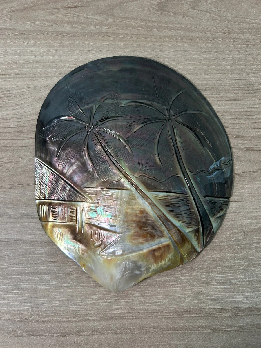 Pupu Mataiva, coquillages - Tahiti Heritage