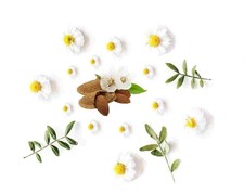 Crema de flor de almendro y
