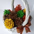 Bild 9 von 11