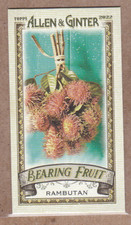 Rambutan 2022 Topps Allen & Ginter Bearing Fruit #BF-15 Mini