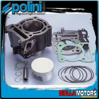166.0100 THERMISCHE GRUPPE POLINI 170CC D.63 YAMAHA MAJESTY 150 Vergaser GUSSEISEN H