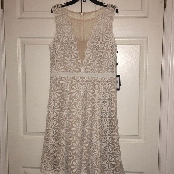adrianna papell lace cocktail dress Adrianna Papell V Inset Fit Flare Lace Women's Dress : 16