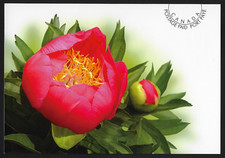 International Postage Paid Postcard — Delivery Worldwide — 2008 Peonies Pivoines