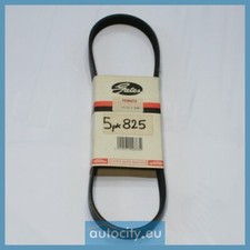 Courroie de distribution Rover 825