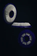 DC41 DC65 DC66 Post Hepa Replace Filter For Dyson Animal Vacuum Cleaner 920769-1