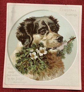 Vintage puppy dog Victorian Christmas greeting trade card early 1900s