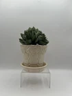 McCoy Pottery Planter W Saucer Vintage Flower Pot Cream Quilted W Trim