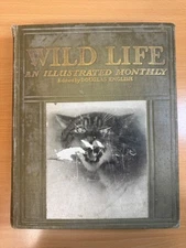 Wild Life Vol. 1 No. 1, January 1913 An Illustrated Monthly Hardcover