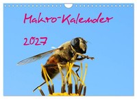 "Calendar 2027 · US Version · Macro Calendar 2027 (Wall Calendar 2027 12\" × 8\" La"