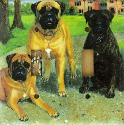 Bullmastiff Art Printed on a Double Toggle light switch plate, made in USA