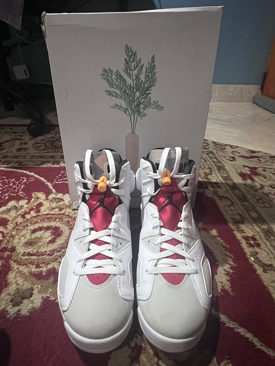Size 11 - Air Jordan 6 Retro Hare 193658231961| eBay display picture 3