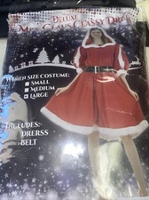 Snailify Woman Size Large Santa Costume Seamed Velvet Costume