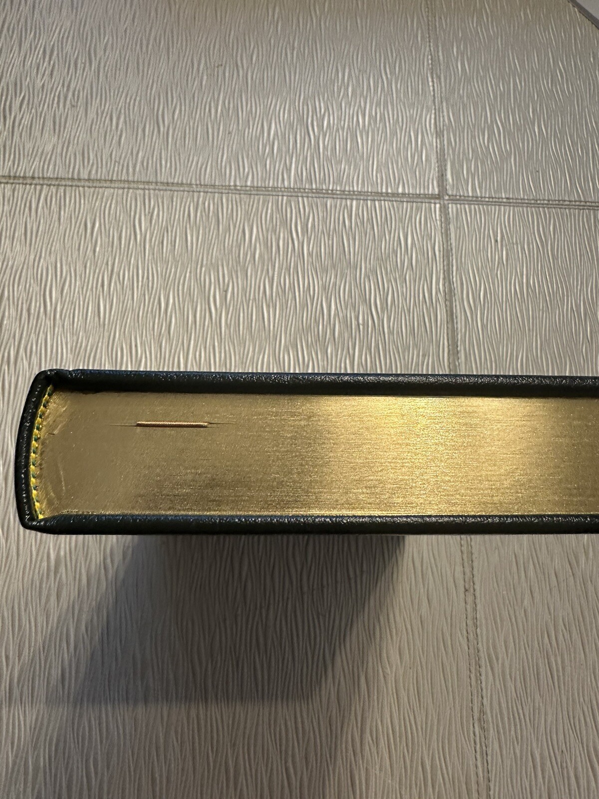 Picture 5 of 7