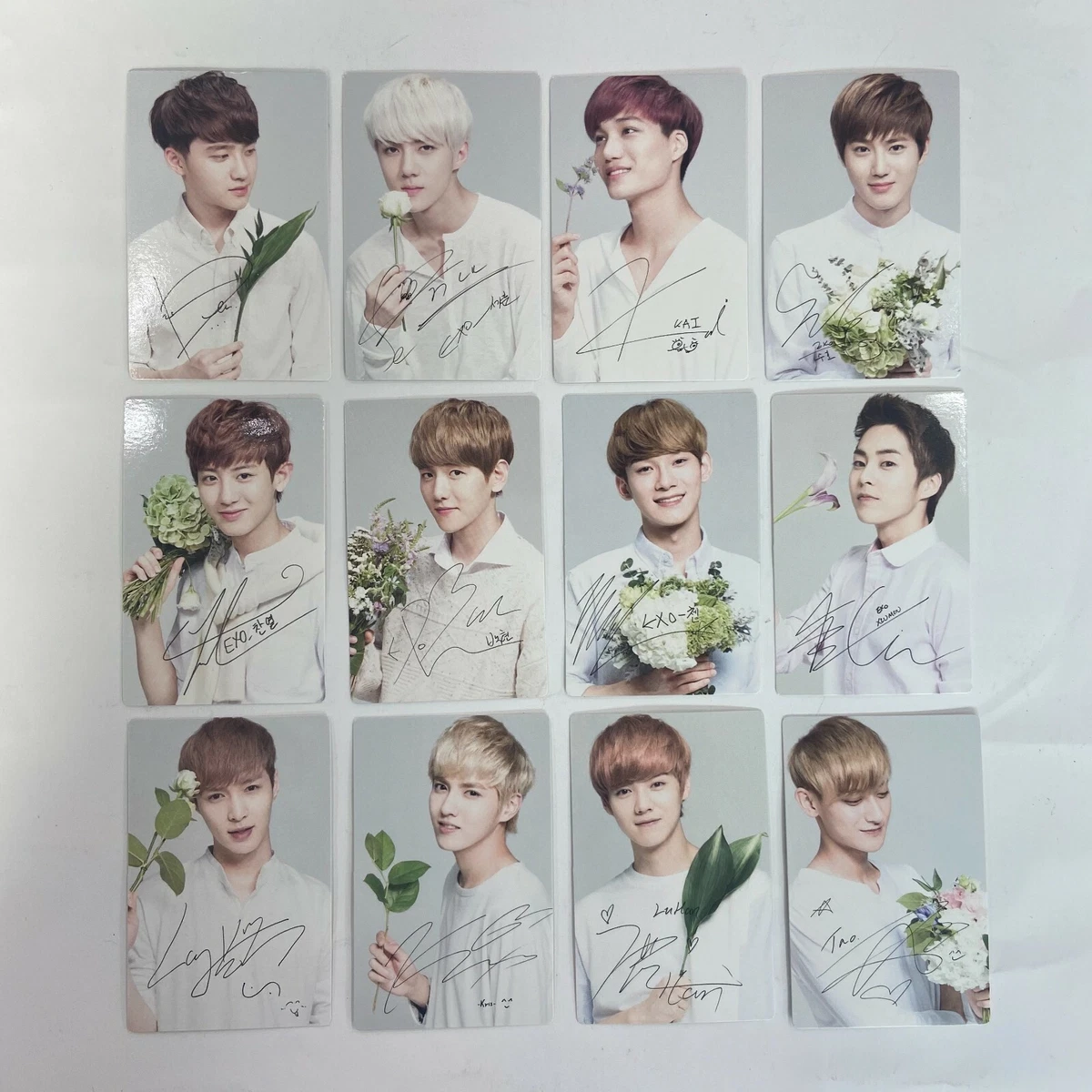 EXO ネイチャーリパブリック パンフレット 直筆サイン入り EXO ネイチャーリパブリック パンフレット 直筆サイン入り