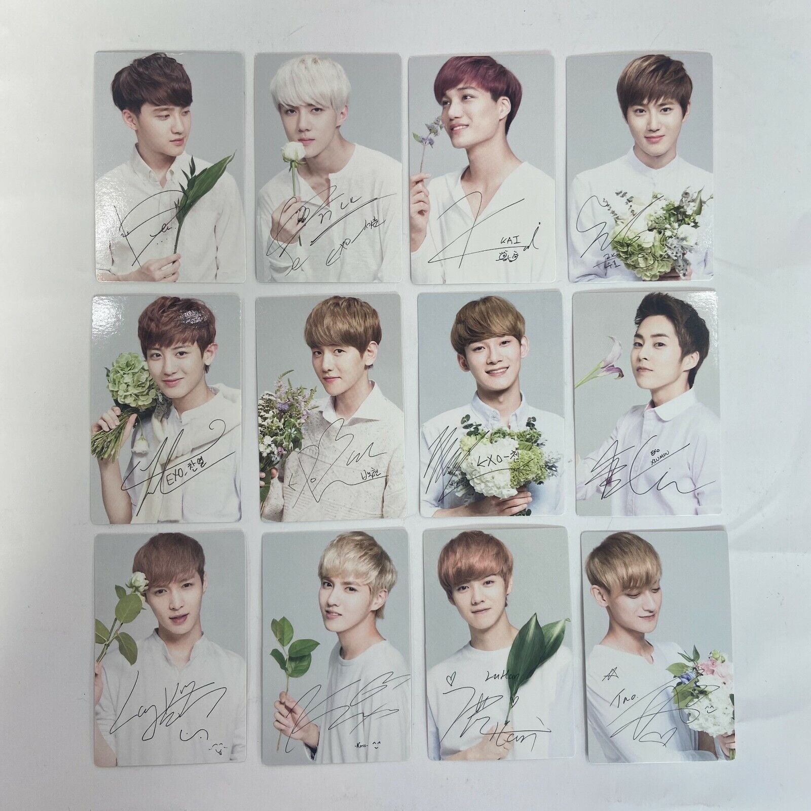 Factory Sealed] Exo Nature Republic Official Limited Photocard / Exo-K + Exo -M | Ebay
