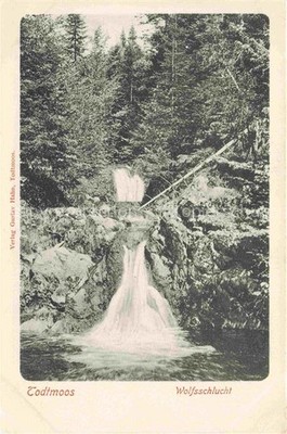 Todtmoos Schwarzwald BW Wolfsschlucht im Schwarzwald