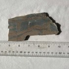 TENNESSEE SNAKE PRINT JASPER  SLAB ~ 111 g / rough agate marble mineral rock cab — photo 10