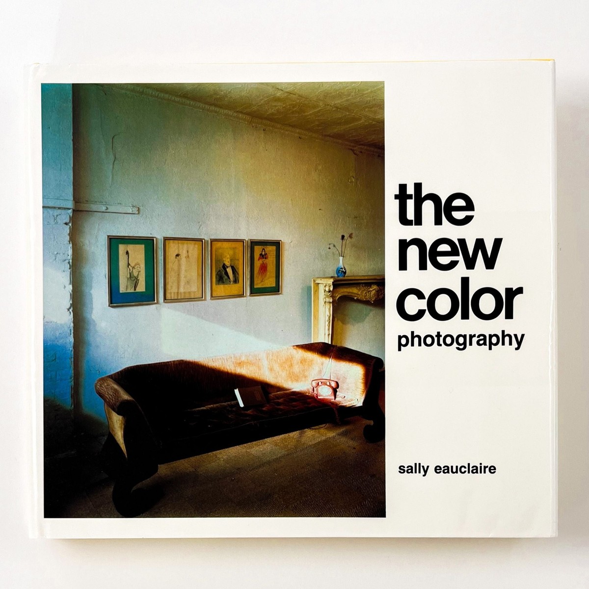 アート・デザイン・音楽 the new color photography Sally Euclaire / THE NEW COLOR PHOTOGRAPHY 1st Edition 1981