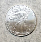 American Silver Eagle 2018 1 Troy Oz Bullion Coin ASE