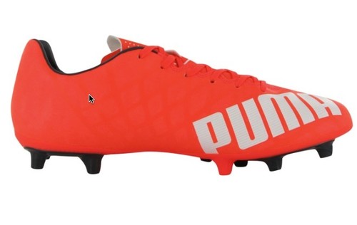 puma evospeed studs