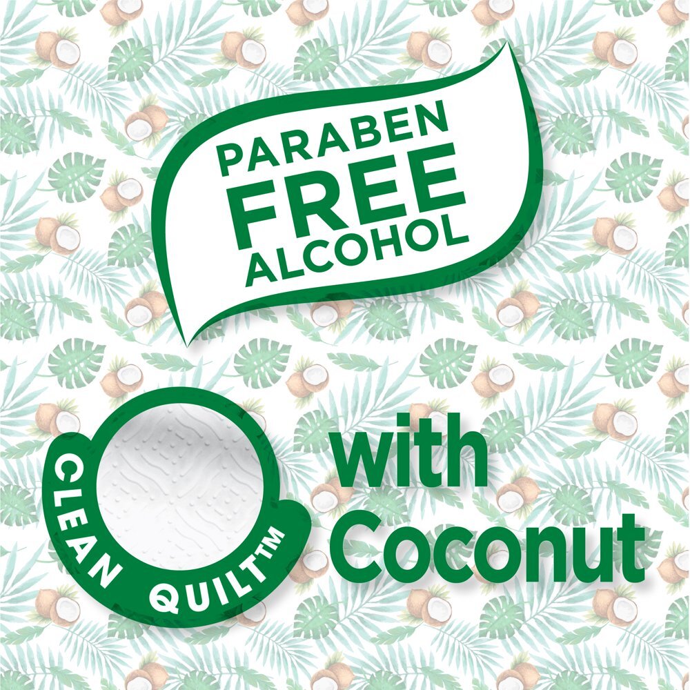 Equate Coconut Scented Flushable Wipe, 2 FlipTop Packs (96 Total Wipes