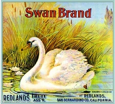 Redlands Swan #2 Orange Citrus Fruit Crate Label Art Print