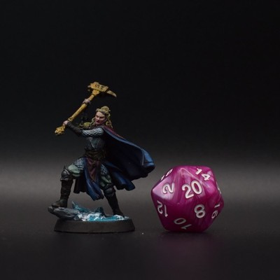 Human fighter/paladin | Painted DND Miniature | 3D resin printed 32 mm