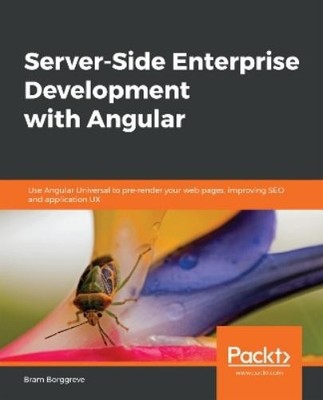 Bram Borggreve Server-Side Enterprise Development with Angular (Taschenbuch)