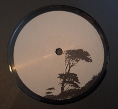 FELIX K - MOMENTUM 12'' 0000 003 NULLPUNKT GERMANY 2018 NEAR MINT!