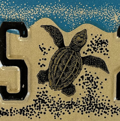 WILDLIFE SEA TURTLE LOGGERHEAD HATCHLING license plate Melbourne