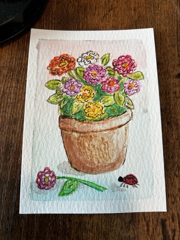 Zinnias flowers ACEO watercolor. Tiny art. Ladybug. Kelly Ospina.