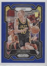 2023-24 Panini Prizm Blue Wave Prizm Joey Hauser #293 19lc