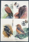XE60237 Belgium 2000 -2007 animals fauna flora birds maxicards used